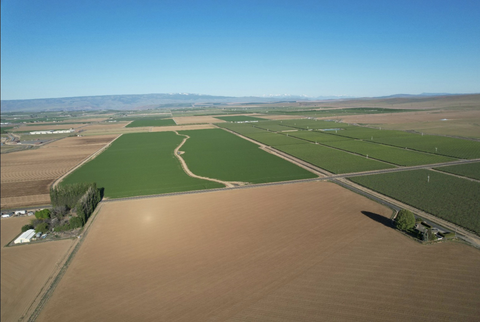 Aerial view of farmland near Quincy, Washington
